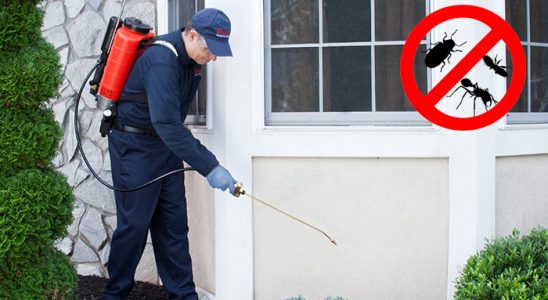 Dazkırı Hamam Böceği İlaçlama böcek ilaçlama ve haşere kontrolü — ilaclama-tr.com